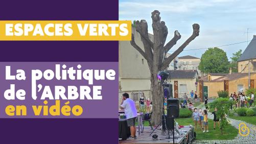 Vidéo : les arbres à Bergerac