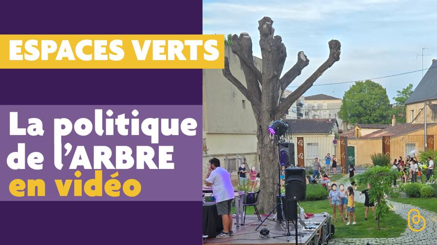 Vidéo : les arbres à Bergerac